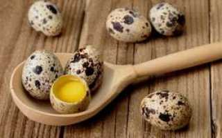Лечение желудка яйцами: длительность и схема приема продукта