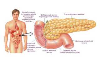 Поджелудочная железа у детей — функции и лечение ее заболеваний