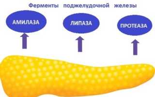 Список препаратов для восстановления ферментов поджелудочной железы