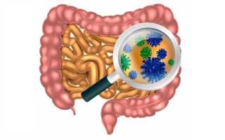 Как передается кишечная инфекция к человеку
