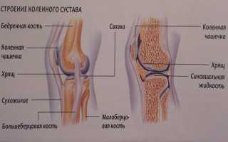 Как выполняется рентген и что может показать  рентгеновский снимок коленного сустава?