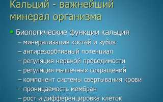 Чем грозит нехватка кальция в организме у женщин и как ее избежать