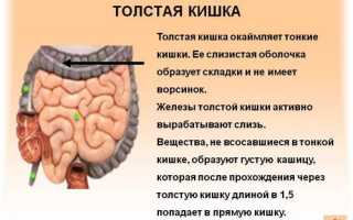 Возможные заболевания кишечника — их причины и симптомы