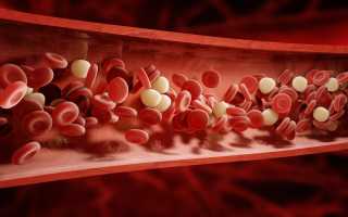 Норма общего белка в крови у женщин, мужчин и детей и причины нарушений