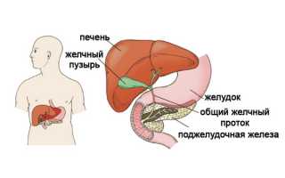Причины диффузных изменений печени и поджелудочной железы