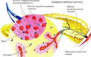 Симптомы нехватки ферментов поджелудочной железы