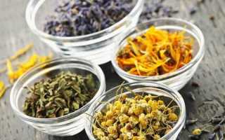 Травы при гастрите: рецепты сборов и чаев из лекарственных растений