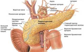 Как помочь поджелудочной железе, ее восстановление