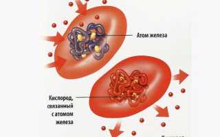 Эритроциты в крови понижены: что это значит и как с этим бороться