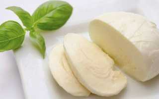 Сыр при язве желудка: какой можно есть, польза от употребления