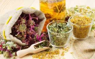 Лечение гастрита народными средствами: самые эффективные травы и рецепты